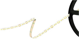 Barthelme 51541433 LED-strip 12 V 5000 mm Wit 5 m