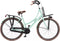 Avalon Cargo - Transportfiets voor Dames - 28 Inch 50 cm - 3 Versnellingen - Turquoise