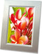 Avery fotopapier 2739 A4, 250 g, 40 vel