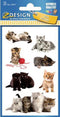 Avery papieretiket Z-design Kids pakje a 3 vel katten foto