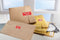 Avery-Zweckform 7310 Rol met etiketten 78 x 38 mm VOID-folie Rood 100 stuk(s) Veiligheidsetiketten