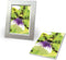 Avery-Zweckform Photo Paper C2552-40P Fotopapier 10 x 15 cm 250 g/m² 80 vellen Zijdemat