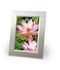 Avery-Zweckform Premium Photo Paper Inkjet 2482-20 Fotopapier DIN A4 300 g/m² 20 vellen Hoogglans