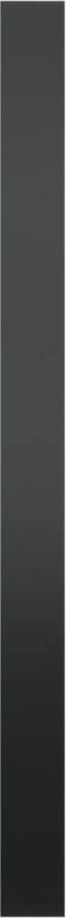 vidaXL - Wandspiegel - 40 - cm - zwart