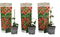 Plant in a Box - Thunbergia alata 'Arizona Rood' - Set van 3 - Rode Bloeiende klimplanten - Pot 9cm - Hoogte 25-40cm