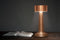Buccan Dumbbell - Tafellamp - 3 lichtstanden en touchbediening - Roségoud
