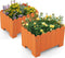 Coast Plantenbakken - Set van 2 - HDPE met Drainage - Oranje (2 stuks)