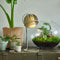Van Tjalle en Jasper | Atmosphere bureaulamp - Soft Grey | Staal (grijs) en MDF (hout , grijs) | E14 fitting | Sfeer licht | Schemerlamp | Uniek Dutch Design | Bouwpakket