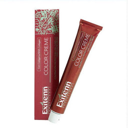 Permanente Kleur Color Creme Exitenn Nº 11/0 (60 ml)