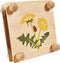 Eichhorn Outdoor Bladeren en Bloemenpers Knutselset