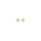 Marie Celeste - Oorknoppen - Bloem zirkonia 4,5 mm - Goud