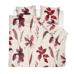 Cinderella Koester - Dekbedovertrek - 100% Katoen - 155 x 220 / 80 x 80 cm - Rood