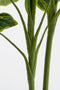 Mica Decorations Alocasia Kunstplant in Bloempot - H100 x Ø50 cm - Groen