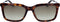 Zonnebril Heren Calvin Klein Calvin Klein S Bruin Habana Ø 55 mm