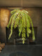 Silk-ka Kunstplant Varen Hang-Zijde Groen 119 cm