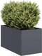 vidaXL - Plantenbak - 40x80x40 - cm - koudgewalst - staal - antracietkleurig