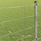 vidaXL - Veldhek - 1x50 - m - Gegalvaniseerd - Staal