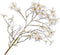 Silk-ka Kunstbloem-Zijden Bloem Forsythia Tak Wit 101 cm