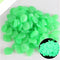 Glow In The Dark Stenen - Decoratie Steentjes - Aquarium Steentjes - Groen