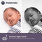 Motorola Baby Monitor VM44 CONNECT - Babyfoon met Camera - HD Videostreaming - Wit