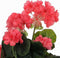 Mica Decorations Geranium Kunstplant in Bloempot Stan - H34 x Ø20 cm - Zalmroze