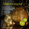Giftmas Lichtsnoeren - 6x2M LED Verlichting - 6 stuks - Warm Wit - 72 uur brandtijd (6 stuks)