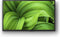 Sony KD32W800P1AEP - HD Ready TV 32