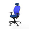 Piqueras y Crespo 1D036G2 - Bureaustoel - Hoofdsteun en verstelbare hoogte - Blauw