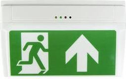 B-SAFETY BR530030 LED-vluchtwegverlichting Plafondopbouwmontage, Wandopbouwmontage Uitgang, Vluchtweg, Rechts, Links
