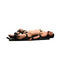 Strict Bondage Board