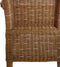 SVJ Eetkamerstoelen - 64x54x97 cm - Rotan - Bruin - Set van 4