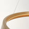 Steinhauer Ringlux 3692GO - Hanglamp - LED ring Ø60 cm 4000 lumen - Goud