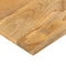 vidaXL - Tafelblad - rechthoekig - 110x40x3,8 - cm - massief - mangohout