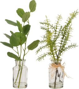 J-Line plant Eucalyptus/Takjes In Vaas - glas/kunststof - groen - 2 stuks