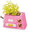 Robotime DIY, Speelgoed Cadeau Modelbouw, Speelgoed Cadeau pakket Emily's bloemenwinkel met verlichting (DG145) 172 x 195 184 mm