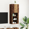 vidaXL - TV-kast - met - LED-verlichting - Oud - Hout - 40,5x30x102 - cm