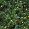 Black Box Kunstkerstboom Brampton Spruce - 230x147 cm - Warmwit