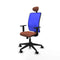 Piqueras y Crespo Motilla 1D066N1 - Bureaustoel met hoofdsteun - Verstelbare hoogte Lumbaalsteun - Blauw Bruin