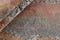 Seduction 840234 Vloerkleed - 170x240 - Rechthoek - Laagpolig,Vintage Tapijt - Klassiek - Meerkleurig
