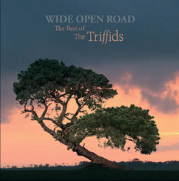Triffids Wide Open Road - Best Of - CD