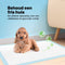 Jake en Jacky - XL Puppytraining Pads - 60 x 90 cm - 30 stuks