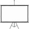 vidaXL - Projectiescherm - met - statief - 16:9 - 90''