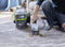 BISSELL SpotClean Pet Pro - Draagbare Vlekkenreiniger - 750W Motor - Stain Trapper Tool