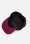 Dungeons And Dragons - Snapback Pet - Logo - Zwart