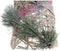 Decoratie DKD Home Decor Kerstmis LED Kegels 3 Onderdelen Rotan Besneeuwd (20 x 20 x 80 cm)