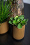 Capi Europe - Vaas hoog Groove Black & Gold - 14x22 - Goud - Opening Ø11.9 - Bloempot voor binnen - 5 jaar garantie - BGVGB433