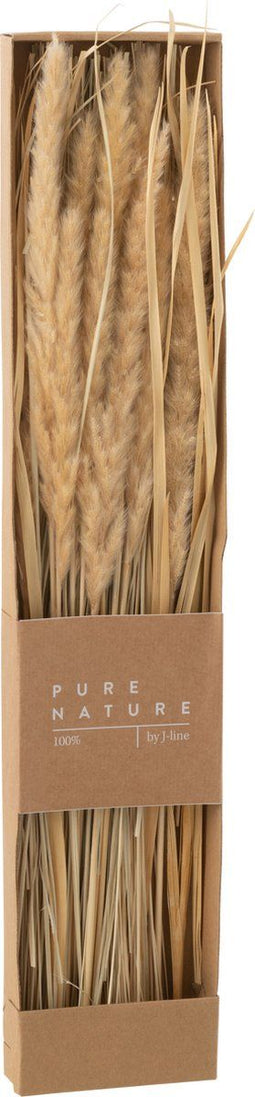 J-Line droogbloemen - doos gedroogde grass - naturel