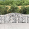 vidaXL - Schanskorven - 9 - st - gewelfd - 400x30x80/100 - cm - ijzer