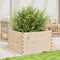 vidaXL - Plantenbak - 80x80x46 - cm - massief - grenenhout