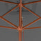 vidaXL - Parasol - met - houten - paal - 200x300 - cm - antraciet